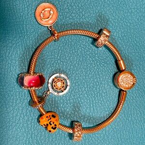 Pandora Rose 🌹 Gold Bracelet Set